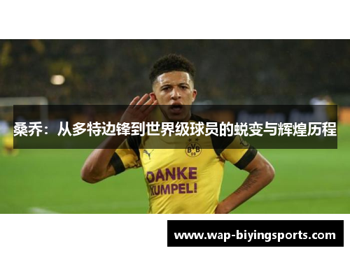 桑乔:从多特边锋到世界级球员的蜕变与辉煌历程