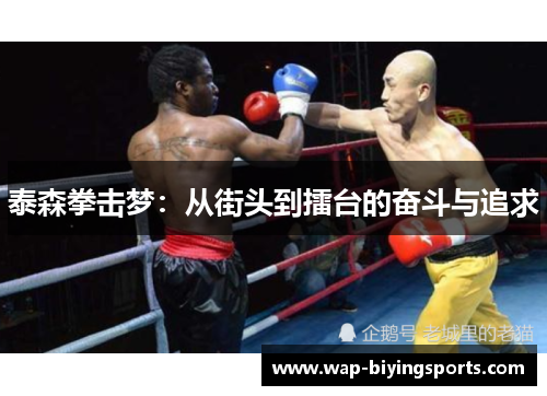 泰森拳击梦：从街头到擂台的奋斗与追求