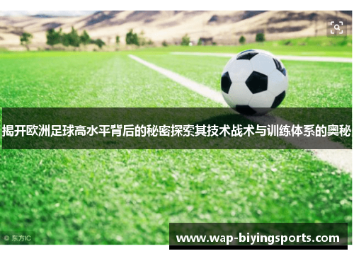 揭开欧洲足球高水平背后的秘密探索其技术战术与训练体系的奥秘