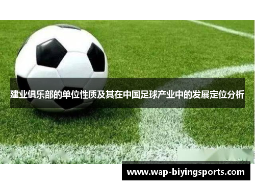 建业俱乐部的单位性质及其在中国足球产业中的发展定位分析