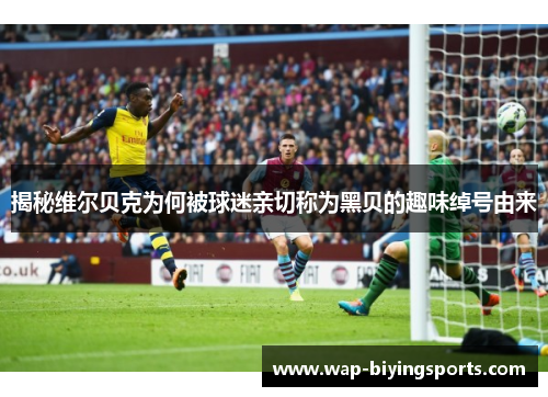 揭秘维尔贝克为何被球迷亲切称为黑贝的趣味绰号由来