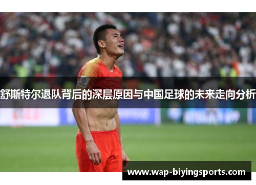 舒斯特尔退队背后的深层原因与中国足球的未来走向分析