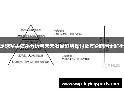 足球赛事体系分析与未来发展趋势探讨及其影响因素解析